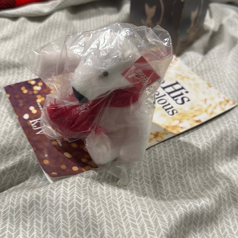 Coke Cola Bear